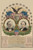 National Democratic chart, 1876--For president, Samuel J. Tilden, for vice president, Thomas A. Hendricks