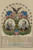 National Republican chart 1876