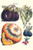 Vegetables; eggplant, raddish, pumpkin, gourd, pepper & okra