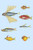Rarest Curiosities of the Fish of the Indies  (Plate 30)