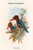 Halcyon Fusca - Indian Kingfisher