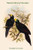 Paradigalla Carnuculata - Wattled Bird of Paradise