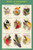 Birds of Paradise Composite I Vertical Classroom Poster