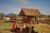 Cider Making