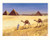 The Great Pyramids - Cairo Poster