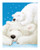 Fluffy Bears II Poster