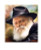 Rebbe Poster