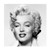 Monroe Portrait2 Poster