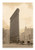 Flatiron Building (sepia)1 Poster