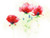 Red Poppies II-2 Poster
