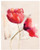 Retro Poppy Watercolor Poster