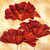 Three Poppies I Poster