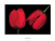 Tulips, Japan, 1980 Poster