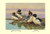 Red-Breasted Merganser and Goosander