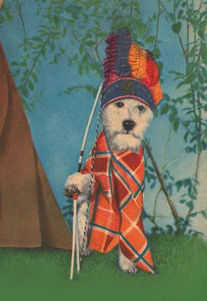 Indian Dog