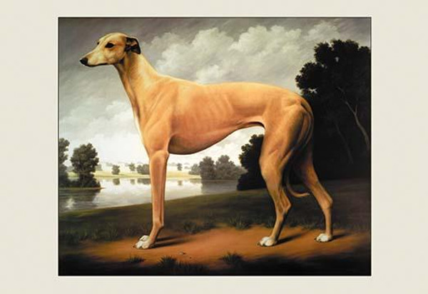Greyhound on a Parkland Landscape
