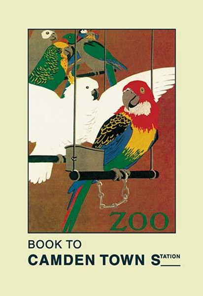 The London Zoo: Exotic Birds