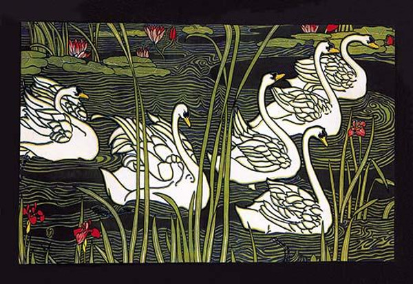 Journal de la Beaute / Swans