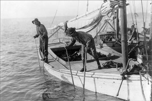 Fishing Oysters in Mobile Bay