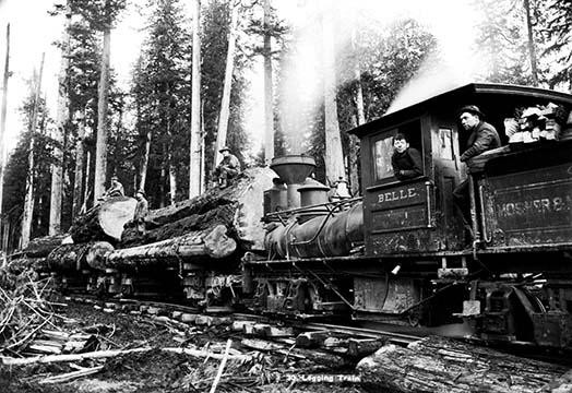 Logging Train
