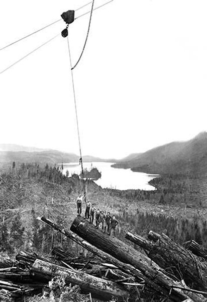 Logging Scene