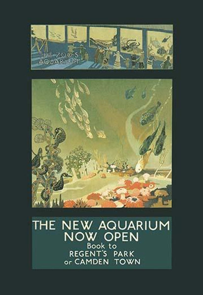 The New Aquarium Now Open