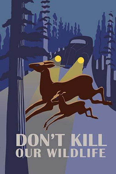 Don't Kill Our Wildlife