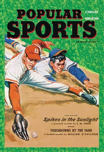 Popular Sports: Spikes in the Sunlight