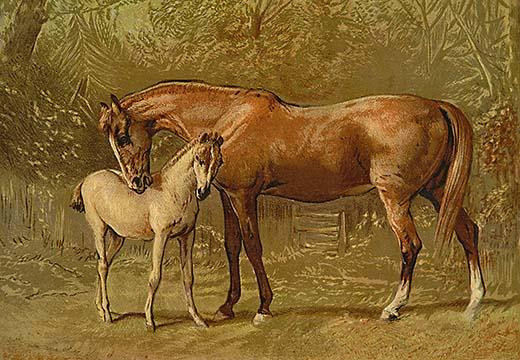 Thoroughbred Mare and Foal