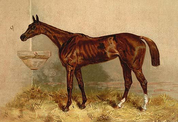 Emblem, Steeplechase Mare