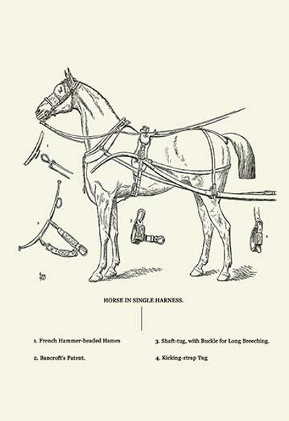 Single Harness Horse