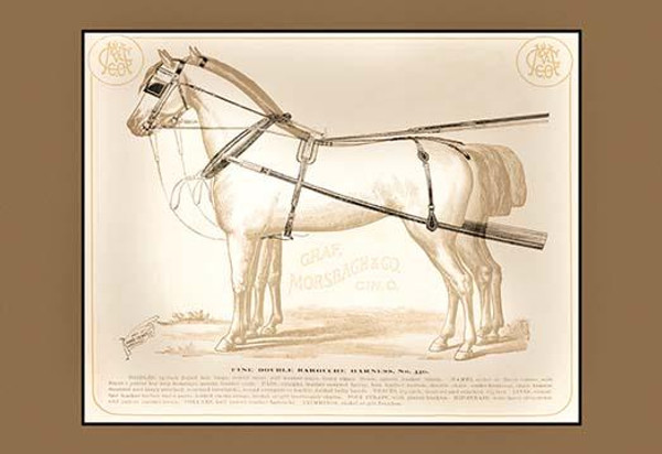 Fine Double Barouche Harness