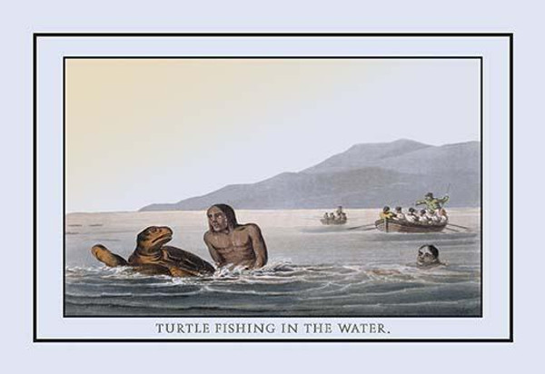 Turtle Fishing In The Water