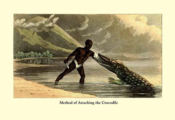 Method of Attacking the Crocodile