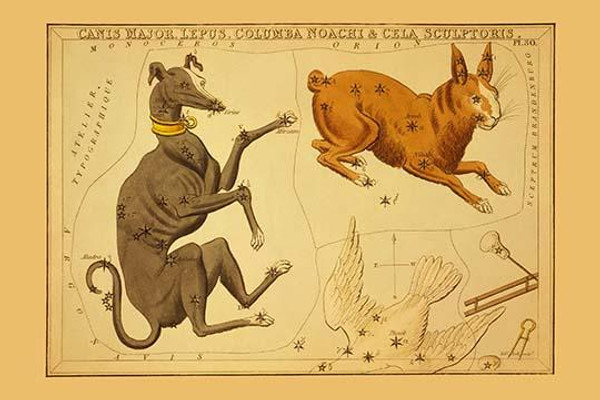Canis Major, Lepus, Columba Noachi & Cela Sculptoris