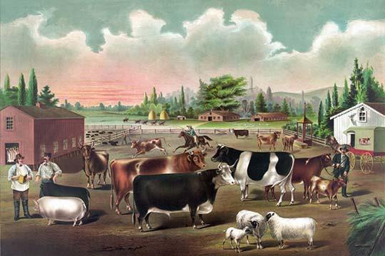 Stolzfus Brothers Consolidated Butchers