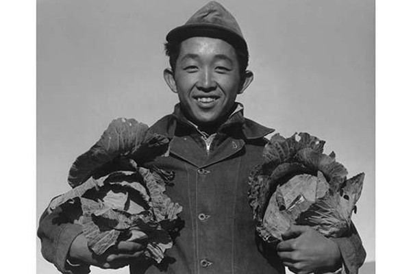 Richard Kobayashi, farmer with cabbages