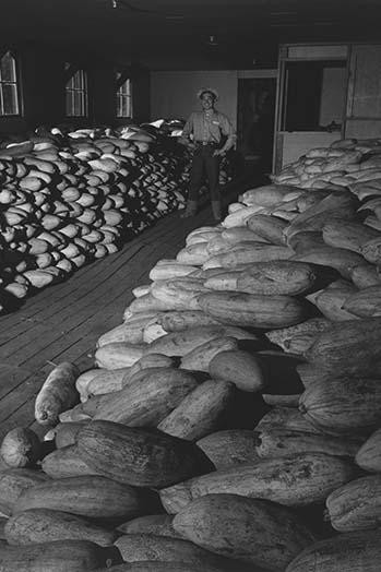 Benji Iguchi with squash