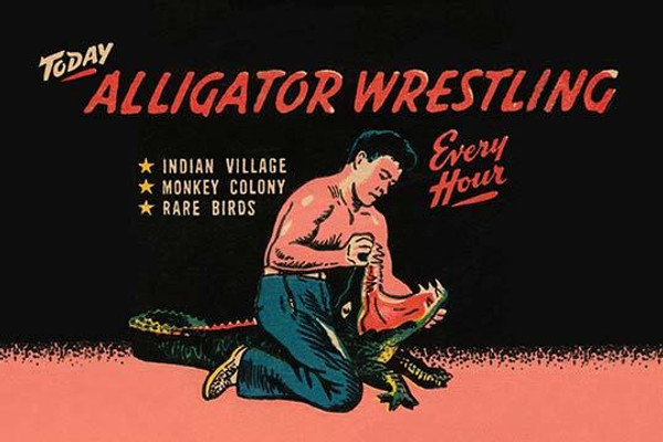 Alligator Wrestling