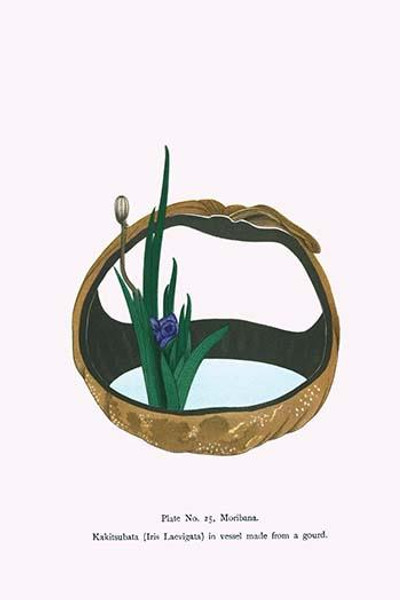 Kakitsubata (Iris Laevigata) in vessel made from a Gourd