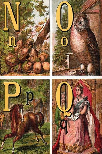 N, O, P, Q Illustrated Letters