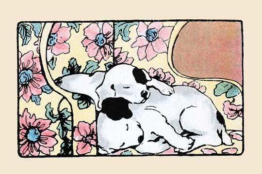 Napping Fox Terrier Dogs