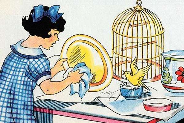 Cleaning the Birdcage