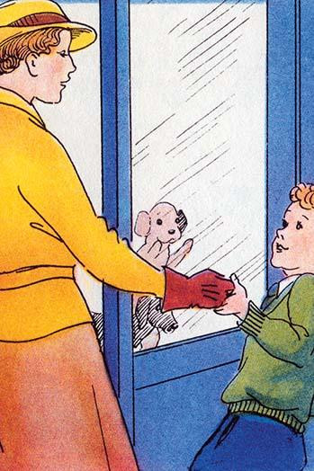 Look at this Puppy in the Window