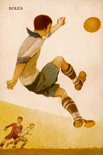 Bolea