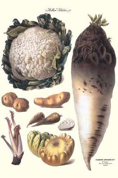 Vegetables: Califlower, gourds, potato, onion,