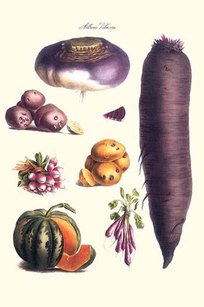 Vegetables; melon, potato, carrot, purple, raddish,