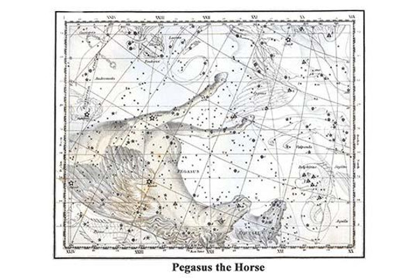 Pegasus the Horse