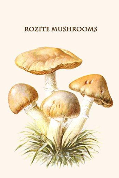 rozite mushrooms