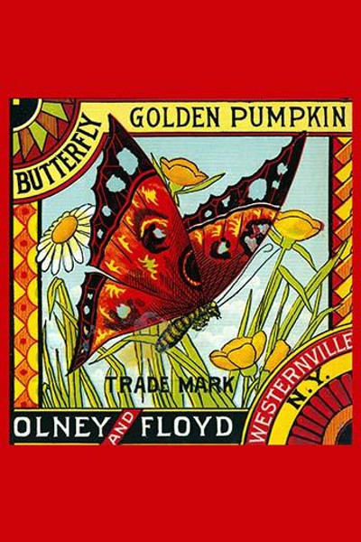 Butterfly Golden Pumpkin